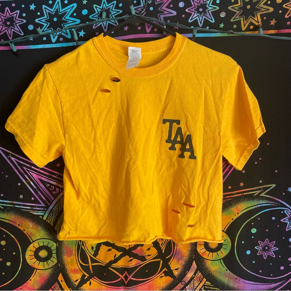 The Amity Affliction cropped t shirt
